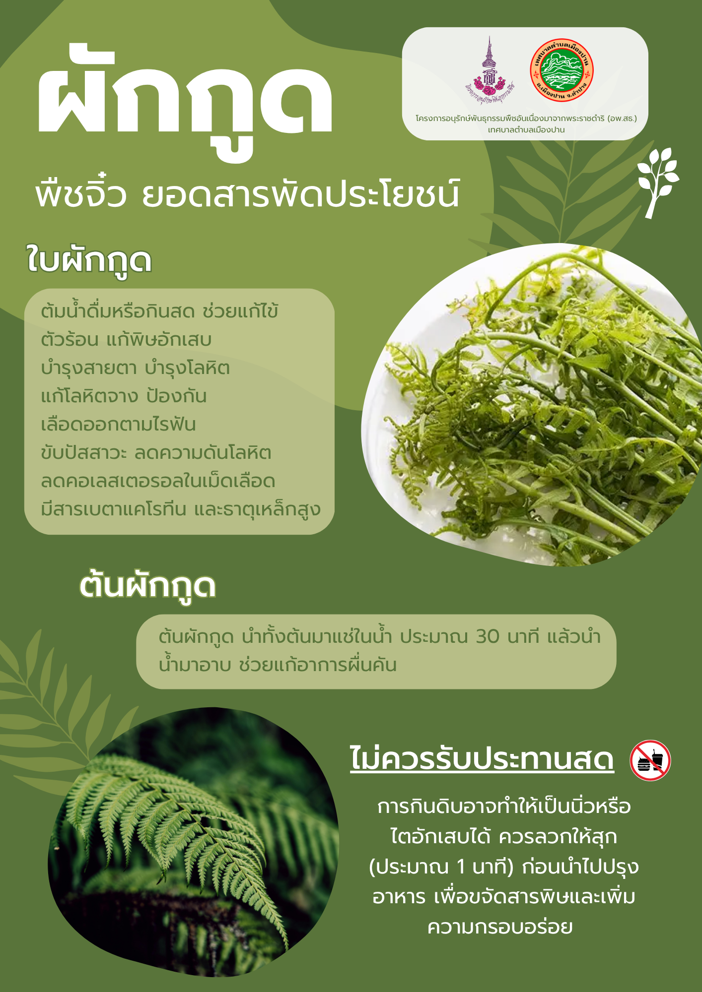 656916578 1267082615550465 6381604955788373326 n