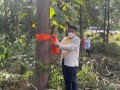 โครงการบวชป่า สืบชะตาป่า สืบชะตาแม่น้ำในเขตตำบลเมืองปาน ... Image 2