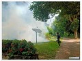 ดำเนินการฉีดพ่นหมอกควันกำจัดยุงลาย Image 3