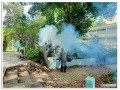 ดำเนินการฉีดพ่นหมอกควันกำจัดยุงลาย Image 6