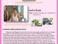 ภูมิปัญญา หมู่ที่ 5 บ้านปางอ่าย Image 1