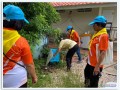 รณรงค์เรื่องป้องกันโรคไข้เลือดออก และร่วมสำรวจลูกน้ำยุงลาย Image 3