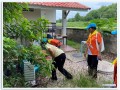 รณรงค์เรื่องป้องกันโรคไข้เลือดออก และร่วมสำรวจลูกน้ำยุงลาย Image 5